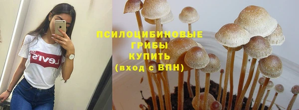 трава Беломорск