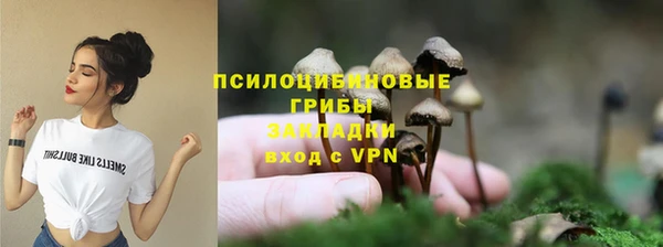 трава Беломорск
