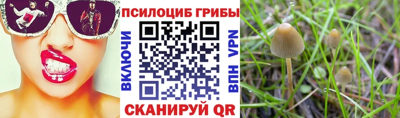Галлюциногенные грибы GOLDEN TEACHER  нарко площадка какой сайт  Катайск  MEGA ссылка 