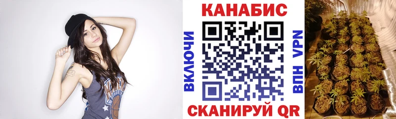 Марихуана гибрид  Катайск 